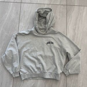 Anine Bing Light Gray Hoodie
